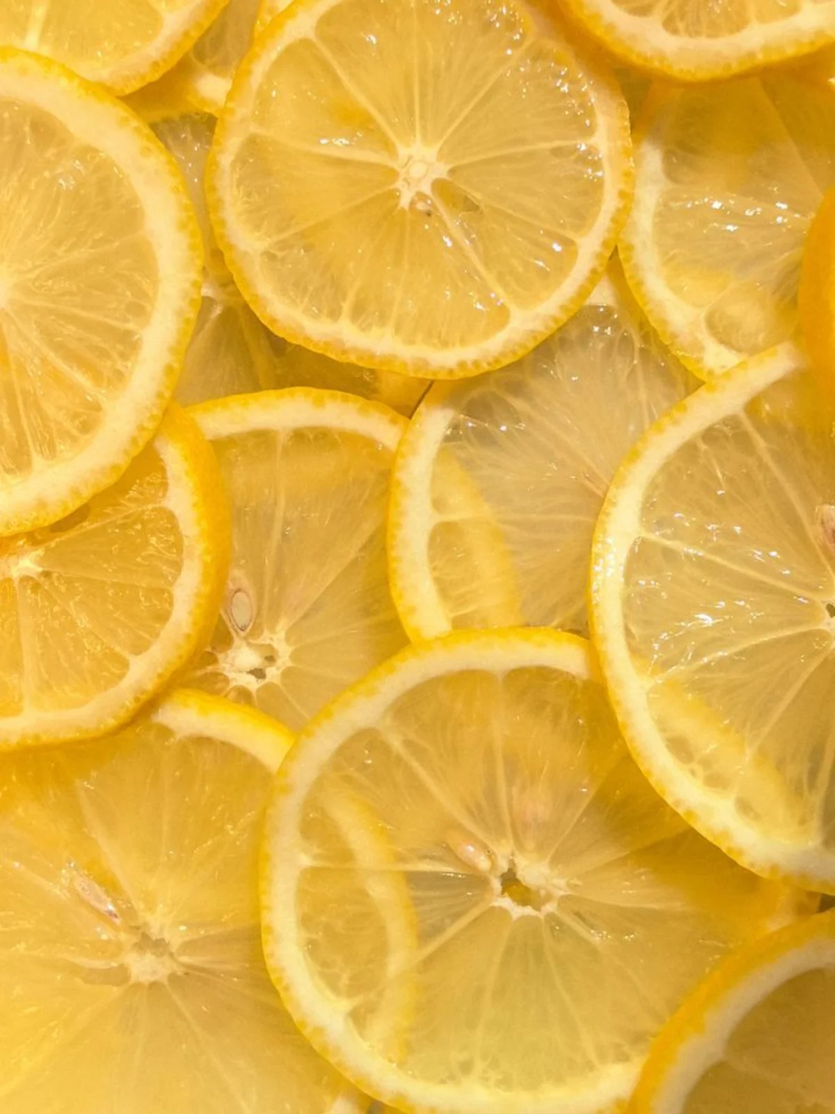 Tranches de citron jaune frais riches en vitamine C - source naturelle d'antioxydants