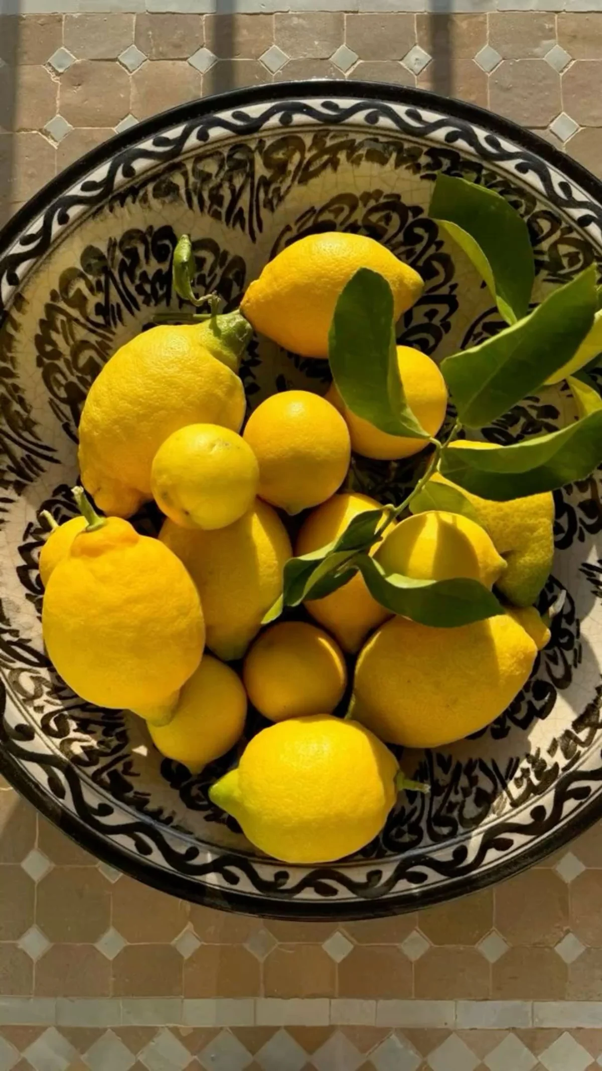 Bol de citrons frais méditerranéens avec feuilles - style Menton Côte d'Azur