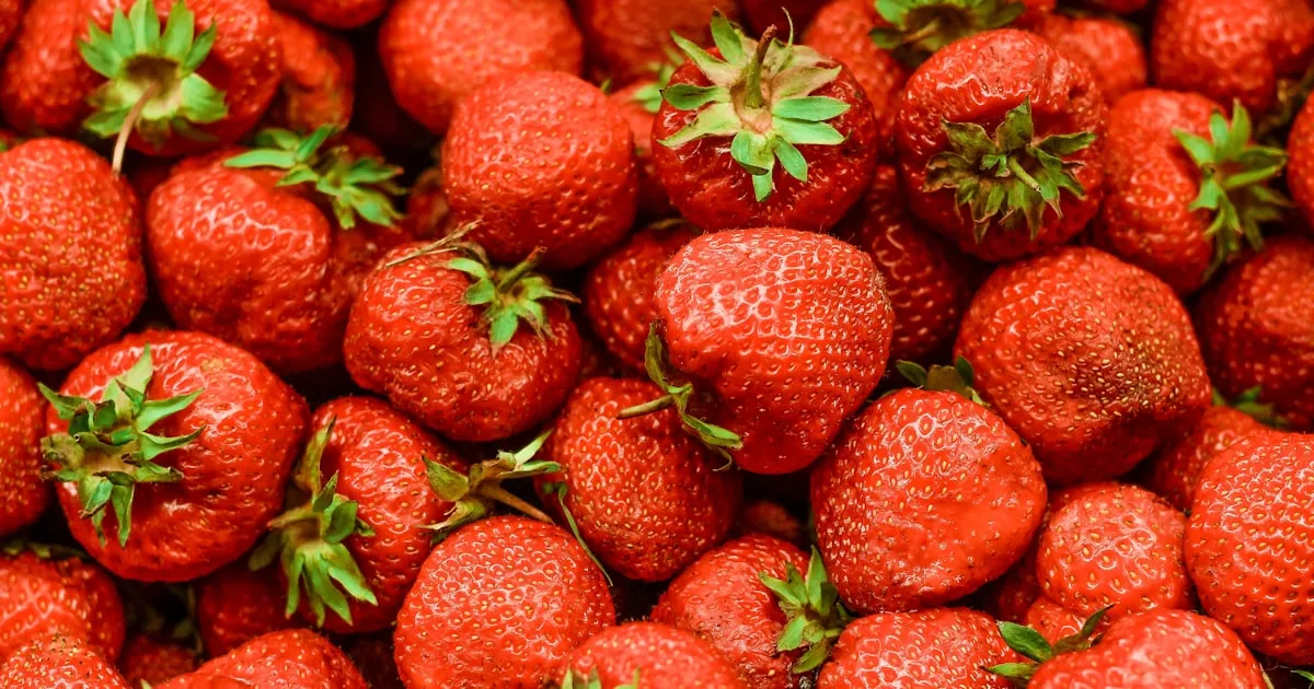 Fraises fraîches disposées sur une assiette blanche - bienfaits des fraises pour la santé