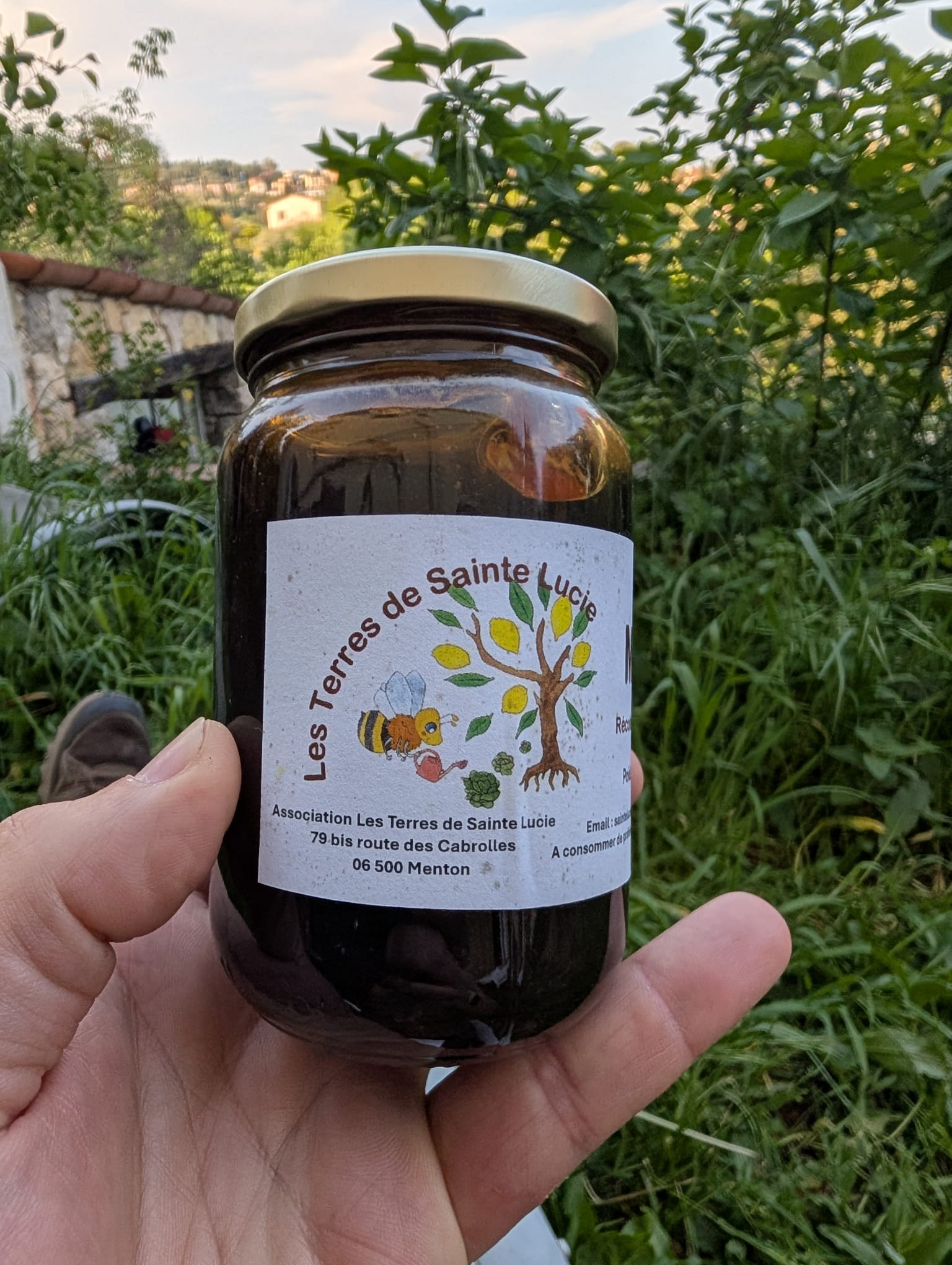 Pot de miel Les Terres de Sainte Lucie récolte été 2025 Menton 06500
