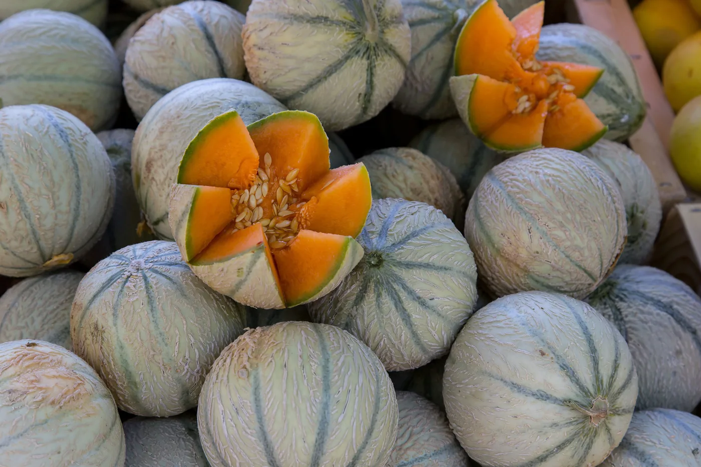 Melons charentais empilés sur un étal, deux fruits ouverts en tranches montrant la chair orange